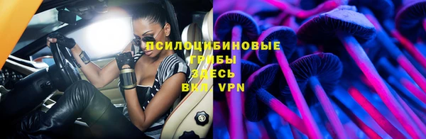 ГАЛЛЮЦИНОГЕННЫЕ ГРИБЫ Армянск
