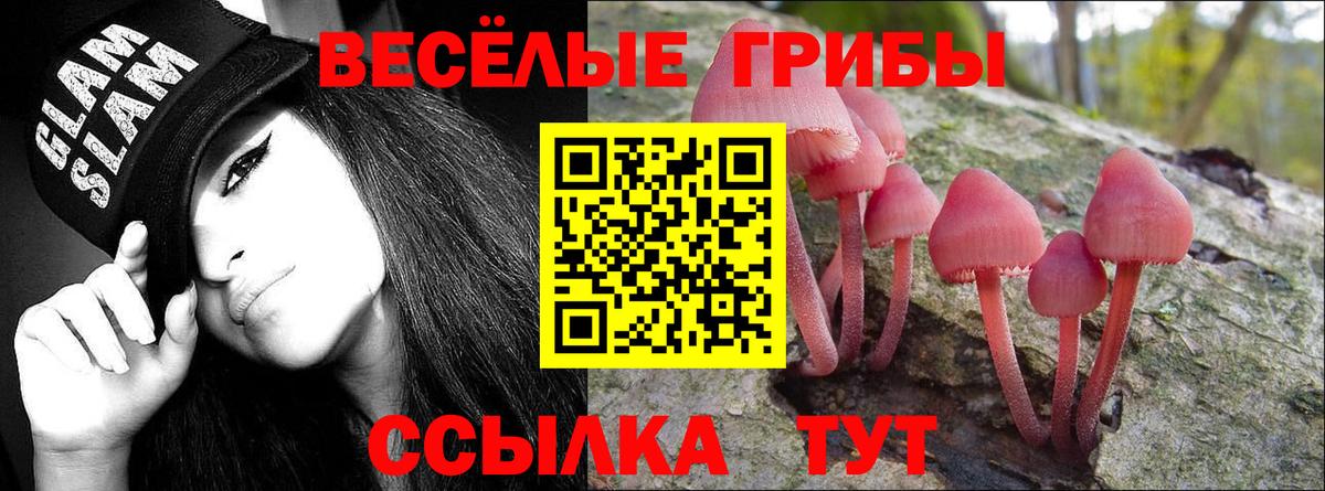 Галлюциногенные грибы Cubensis Петропавловск-Камчатский